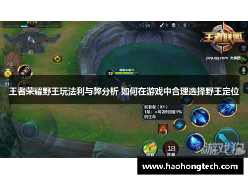 王者荣耀野王玩法利与弊分析 如何在游戏中合理选择野王定位