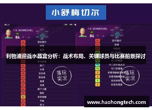 利物浦迎战水晶宫分析：战术布局、关键球员与比赛前景探讨