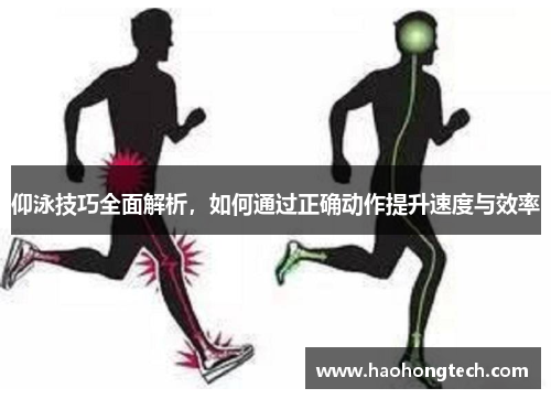 仰泳技巧全面解析，如何通过正确动作提升速度与效率