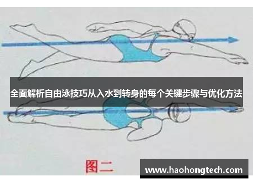 全面解析自由泳技巧从入水到转身的每个关键步骤与优化方法