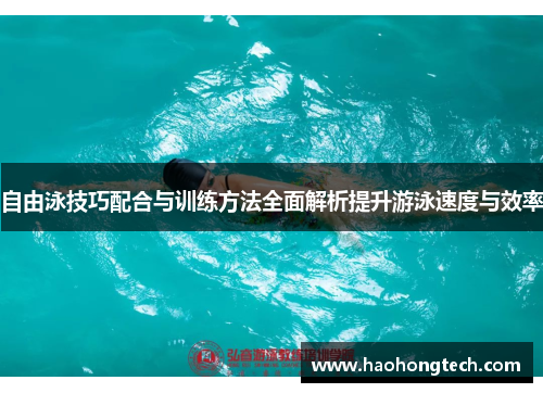 自由泳技巧配合与训练方法全面解析提升游泳速度与效率