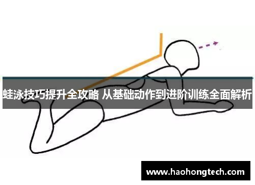 蛙泳技巧提升全攻略 从基础动作到进阶训练全面解析